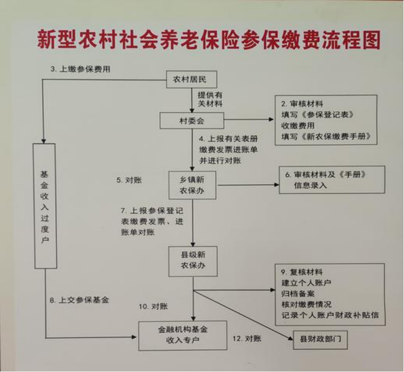 惠州农村医保和社保有什么区别(农村医保跟社保的区别)