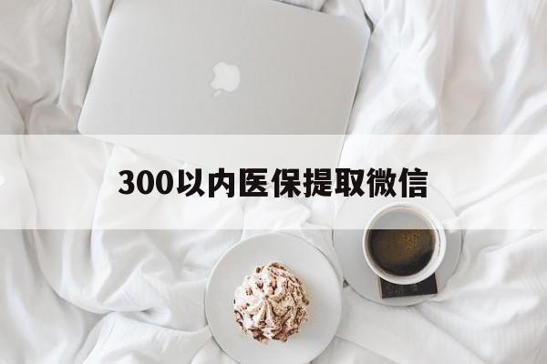 惠州300以内医保提取微信(小额医保300以内提取)